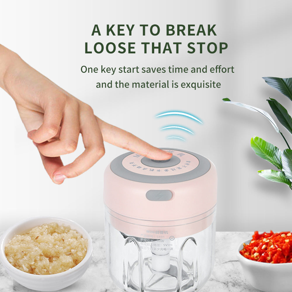 Mini Electric Garlic Chopper USB